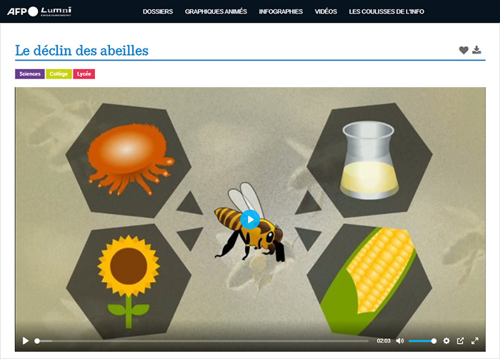 Vidéo de l'AFP le déclin des abeilles